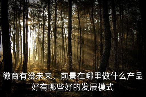 微商有沒未來，前景在哪里做什么產(chǎn)品好有哪些好的發(fā)展模式