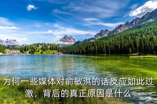 為何一些媒體對(duì)俞敏洪的話反應(yīng)如此過(guò)激，背后的真正原因是什么