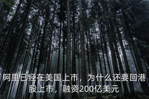 阿里已經(jīng)在美國(guó)上市，為什么還要回港股上市，融資200億美元