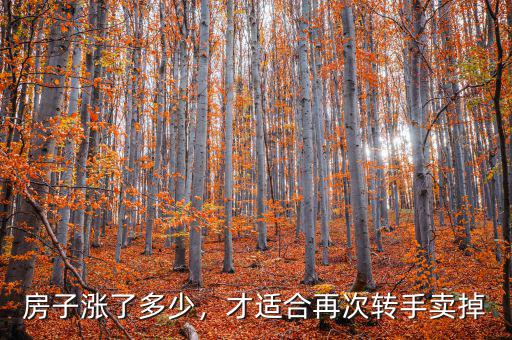 房子漲了多少，才適合再次轉(zhuǎn)手賣(mài)掉