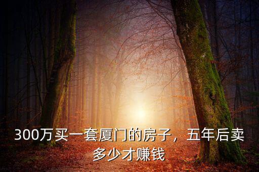 300萬(wàn)買(mǎi)一套廈門(mén)的房子，五年后賣(mài)多少才賺錢(qián)