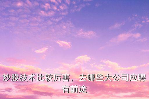 炒股技術(shù)比較厲害，去哪些大公司應(yīng)聘有前途