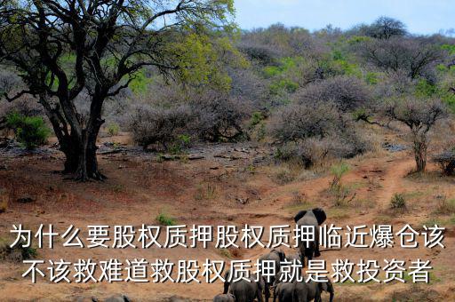 股東為什么要股權質(zhì)押,為什么要股權質(zhì)押