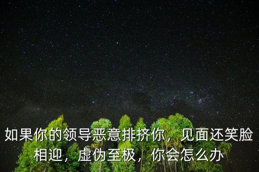 如果你的領(lǐng)導(dǎo)惡意排擠你，見面還笑臉相迎，虛偽至極，你會怎么辦