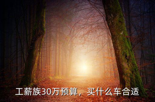 工薪族30萬預算，買什么車合適