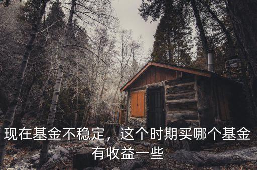 現(xiàn)在基金不穩(wěn)定，這個時期買哪個基金有收益一些