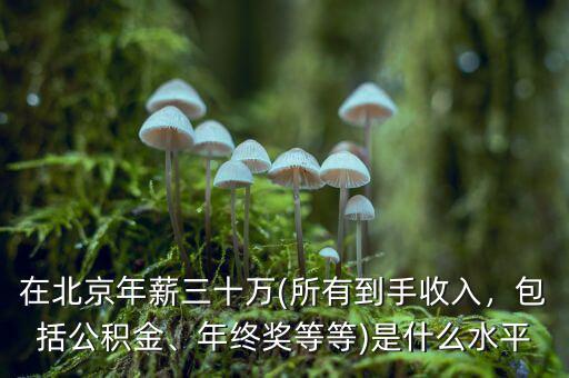 在北京年薪三十萬(wàn)(所有到手收入，包括公積金、年終獎(jiǎng)等等)是什么水平