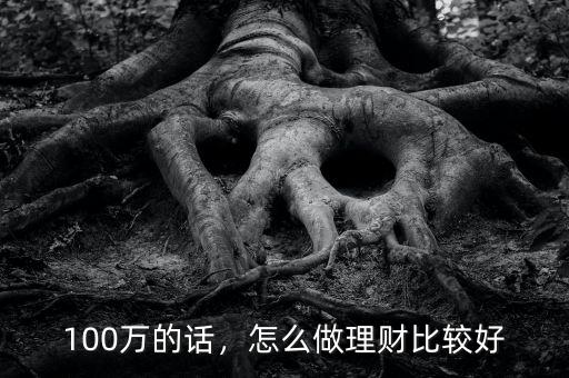 100萬的話，怎么做理財(cái)比較好