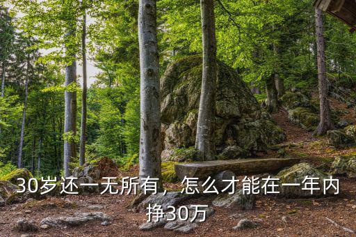 30歲還一無(wú)所有，怎么才能在一年內(nèi)掙30萬(wàn)