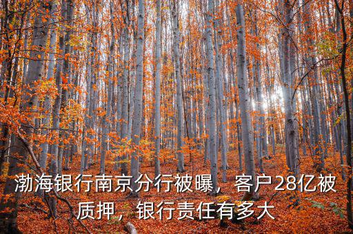 渤海銀行南京分行被曝，客戶28億被質(zhì)押，銀行責任有多大