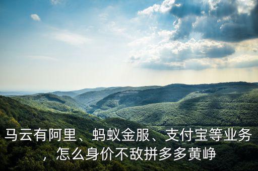 馬云有阿里、螞蟻金服、支付寶等業(yè)務(wù)，怎么身價(jià)不敵拼多多黃崢