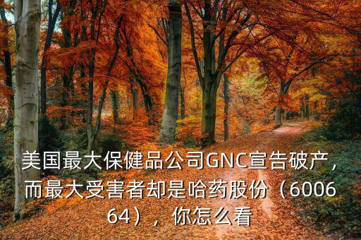 美國最大保健品公司GNC宣告破產(chǎn)，而最大受害者卻是哈藥股份（600664），你怎么看