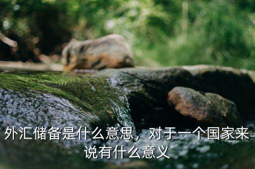 外匯儲(chǔ)備是什么意思，對(duì)于一個(gè)國(guó)家來(lái)說(shuō)有什么意義