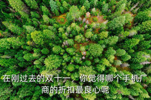 在剛過(guò)去的雙十一，你覺(jué)得哪個(gè)手機(jī)廠商的折扣最良心呢