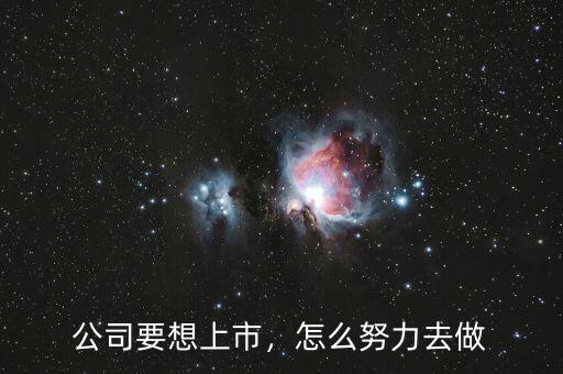 公司要想上市，怎么努力去做