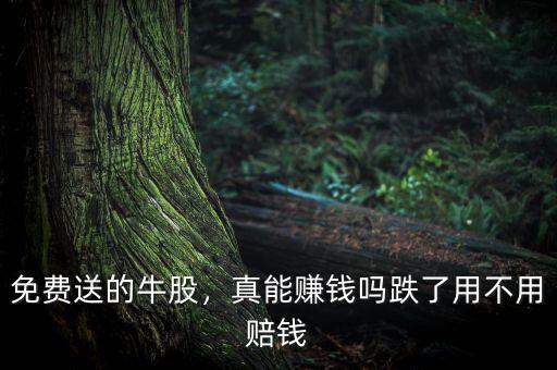 免費(fèi)送的牛股，真能賺錢嗎跌了用不用賠錢