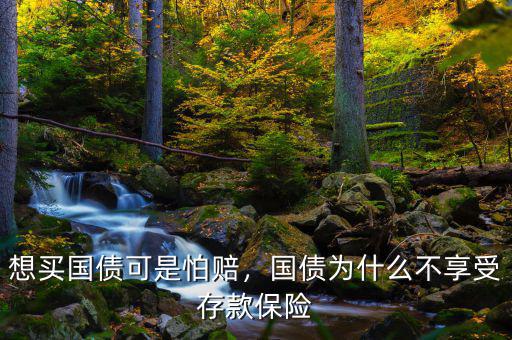 想買國債可是怕賠，國債為什么不享受存款保險(xiǎn)