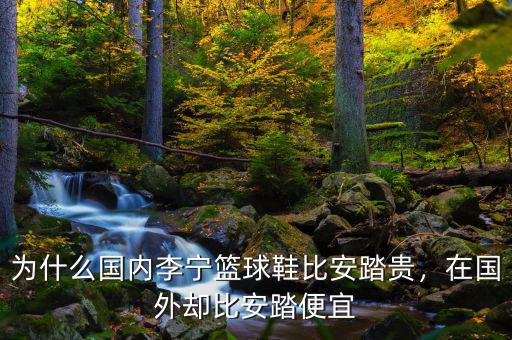 為什么國內李寧籃球鞋比安踏貴，在國外卻比安踏便宜