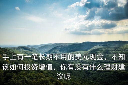 手上有一筆長期不用的美元現(xiàn)金，不知該如何投資增值，你有沒有什么理財(cái)建議呢