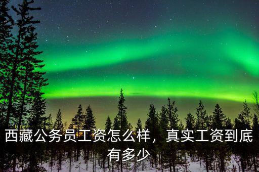 西藏公務(wù)員工資怎么樣，真實工資到底有多少