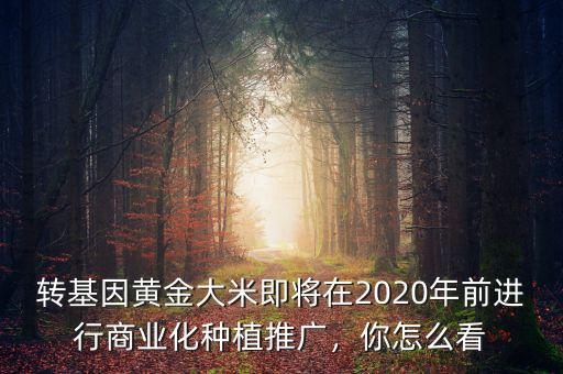 轉(zhuǎn)基因黃金大米即將在2020年前進(jìn)行商業(yè)化種植推廣，你怎么看
