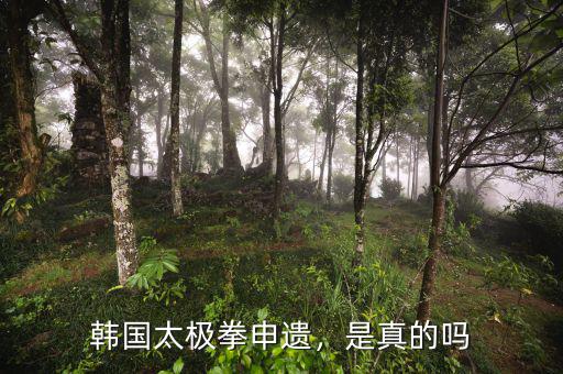 韓國太極拳申遺，是真的嗎