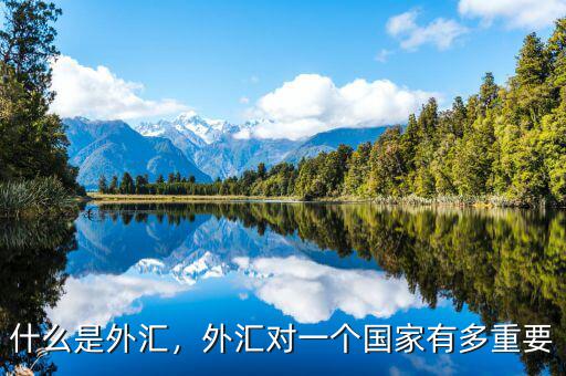 什么是外匯，外匯對一個國家有多重要