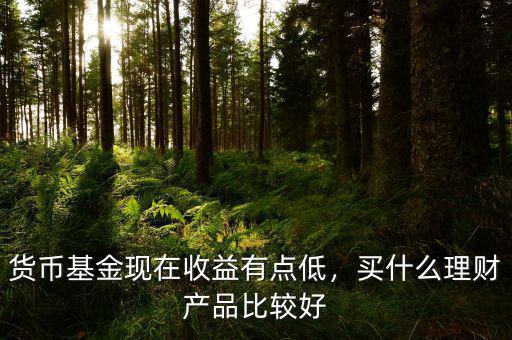 貨幣基金現(xiàn)在收益有點(diǎn)低，買什么理財(cái)產(chǎn)品比較好