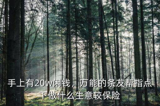 手上有20w閑錢，萬能的條友幫指點(diǎn)下做什么生意較保險(xiǎn)