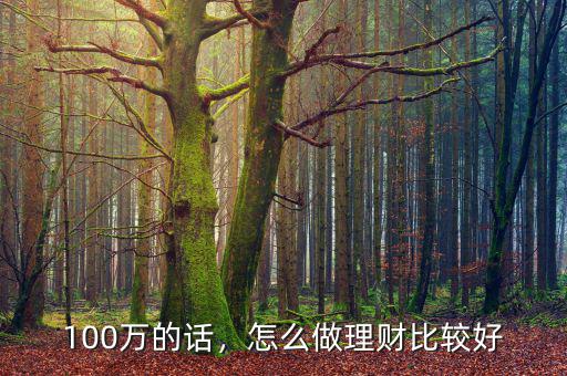 100萬的話，怎么做理財(cái)比較好