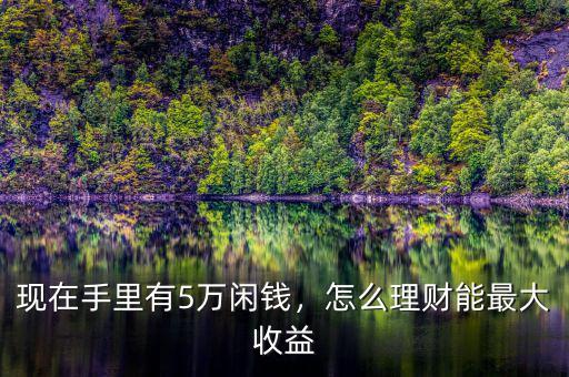 現(xiàn)在手里有5萬閑錢，怎么理財(cái)能最大收益
