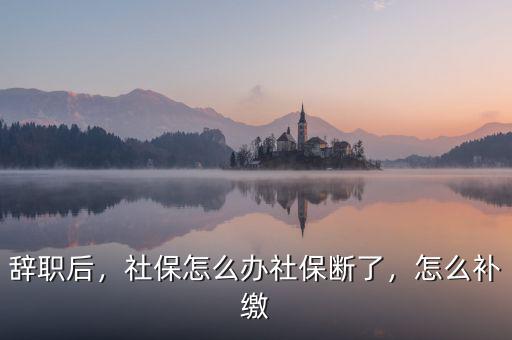 辭職后，社保怎么辦社保斷了，怎么補(bǔ)繳