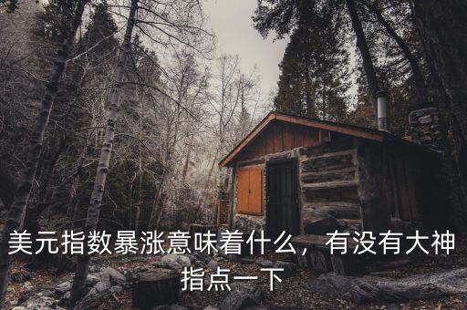 美元指數暴漲意味著什么，有沒有大神指點一下