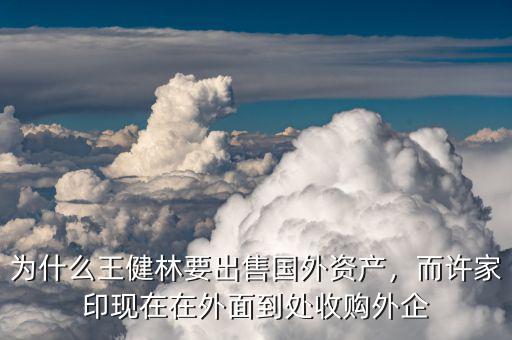 為什么王健林要出售國外資產(chǎn)，而許家印現(xiàn)在在外面到處收購?fù)馄? class=