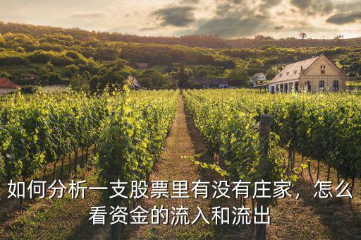 如何分析一支股票里有沒有莊家，怎么看資金的流入和流出