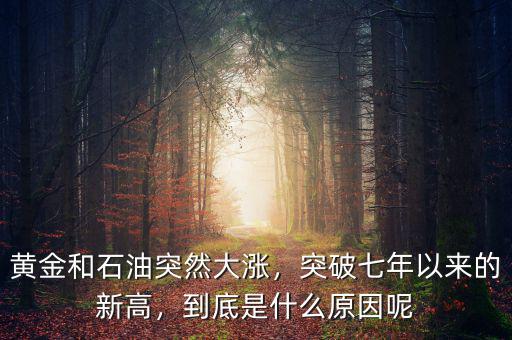 黃金和石油突然大漲，突破七年以來(lái)的新高，到底是什么原因呢