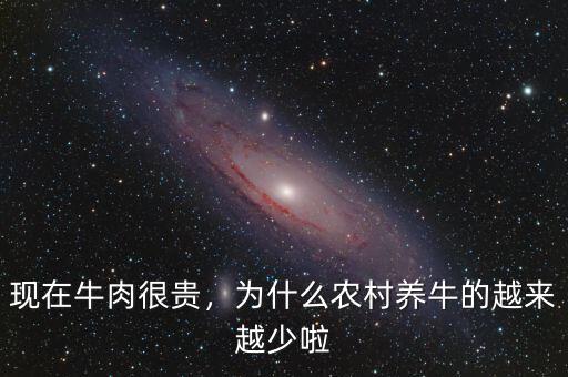 現(xiàn)在牛肉很貴，為什么農(nóng)村養(yǎng)牛的越來越少啦