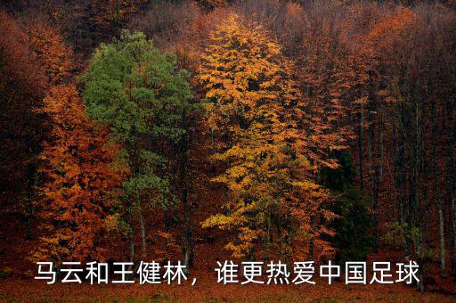 馬云和王健林，誰更熱愛中國(guó)足球