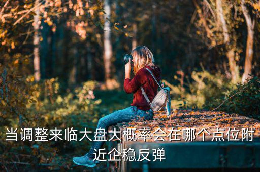 當(dāng)調(diào)整來臨大盤大概率會(huì)在哪個(gè)點(diǎn)位附近企穩(wěn)反彈