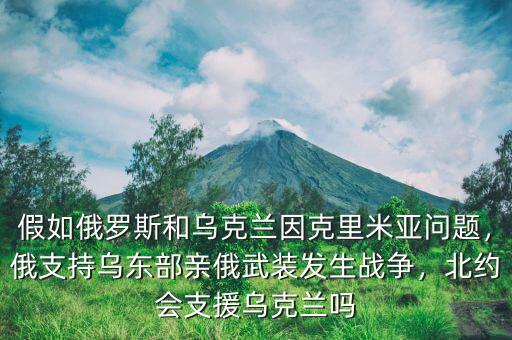 假如俄羅斯和烏克蘭因克里米亞問題，俄支持烏東部親俄武裝發(fā)生戰(zhàn)爭，北約會(huì)支援烏克蘭嗎