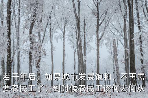 若干年后，如果城市發(fā)展飽和，不再需要農(nóng)民工了，到時(shí)候農(nóng)民工該何去何從