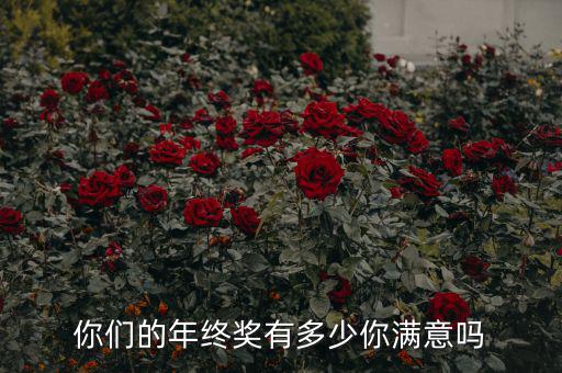 你們的年終獎(jiǎng)有多少你滿(mǎn)意嗎