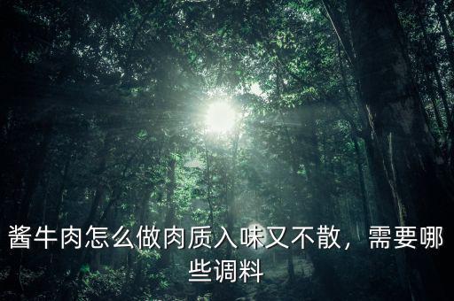 醬牛肉怎么做肉質(zhì)入味又不散，需要哪些調(diào)料