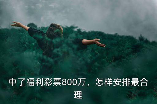 中了福利彩票800萬，怎樣安排最合理