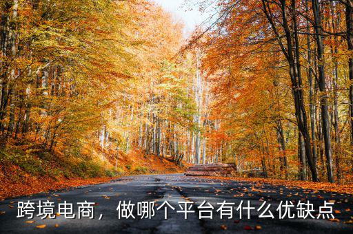 跨境電商，做哪個平臺有什么優(yōu)缺點