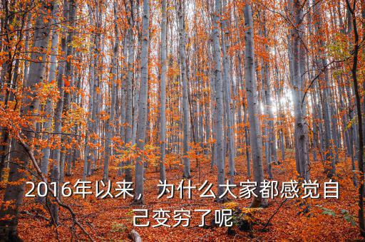 2016年以來，為什么大家都感覺自己變窮了呢