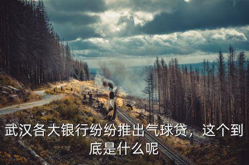 武漢各大銀行紛紛推出氣球貸，這個(gè)到底是什么呢