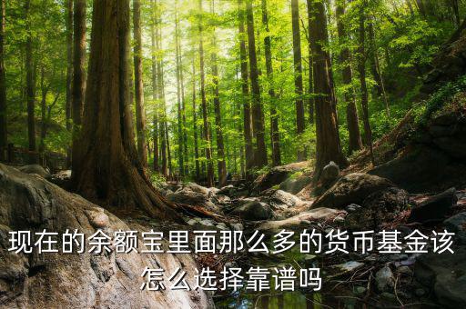 現在的余額寶里面那么多的貨幣基金該怎么選擇靠譜嗎