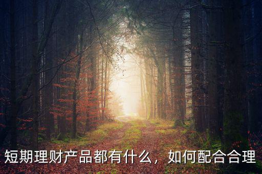 短期理財(cái)產(chǎn)品都有什么，如何配合合理