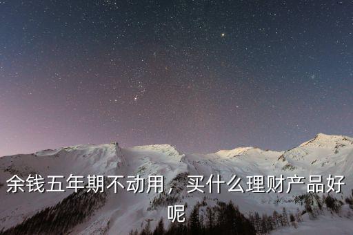 余錢(qián)五年期不動(dòng)用，買(mǎi)什么理財(cái)產(chǎn)品好呢